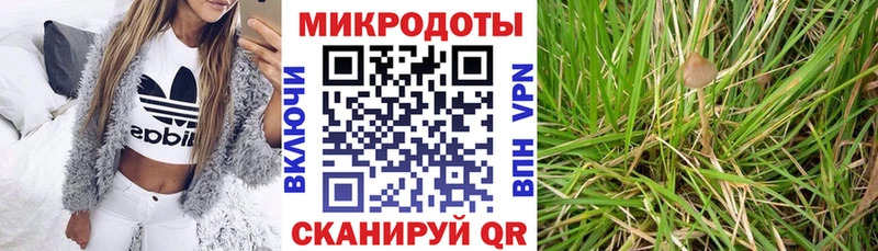 Галлюциногенные грибы мухоморы Сыктывкар