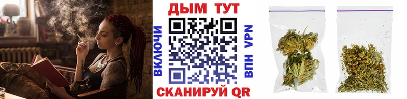 Бошки марихуана планчик  Сыктывкар 